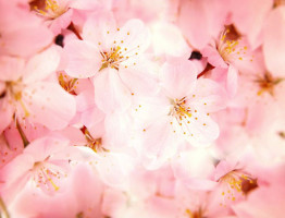 jasminawad-fotokurse-koeln-fotokurs-fotoworkshop-003
